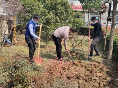 携手共建绿色汇博